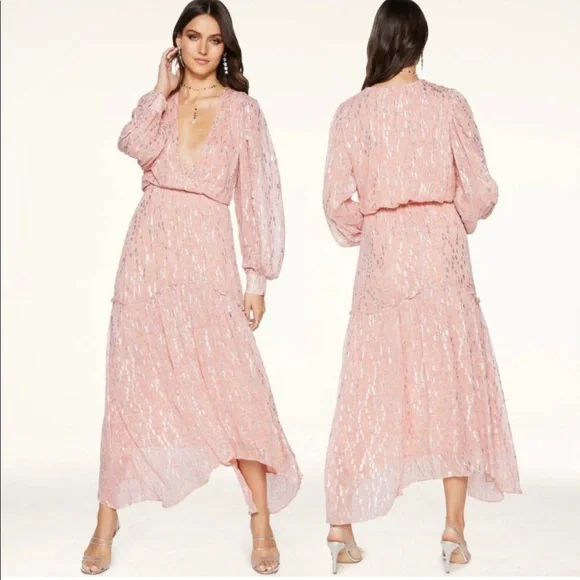 Ramy Brook Metallic Printed Ora Maxi Dress - Picture 1 of 9